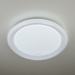 Потолочный светодиодный светильник Eurosvet 40013/1 LED белый