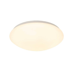 Потолочный светодиодный светильник SLV Lipsy 1002020